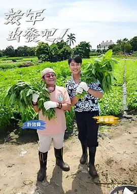 紫夜影视网美食慢综艺一个人的厨房海报